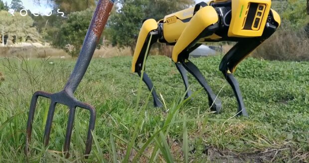 В сети показали чудо-робота, справляющегося с тяжелой работой в селе. ВИДЕО
