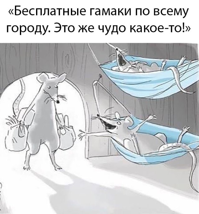 Улыбайтесь, господа, улыбайтесь! 