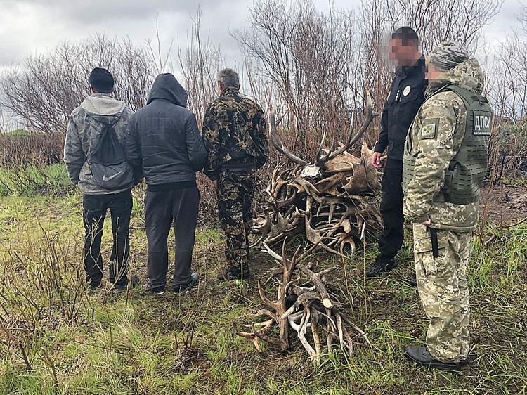 Нарушителей с рогами задержали в Чернобыльской зоне. ВИДЕО