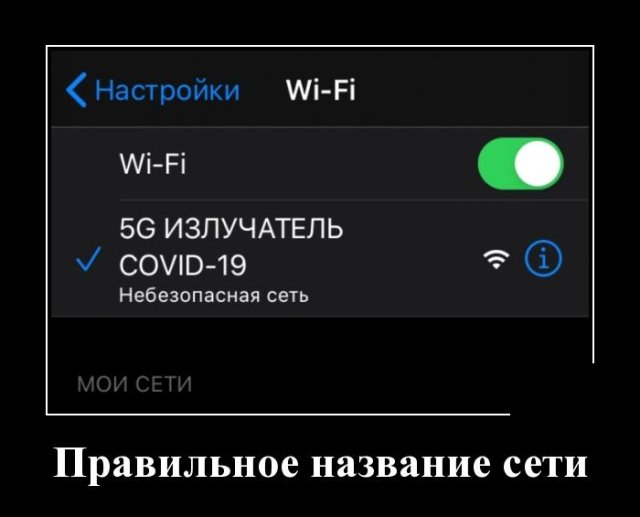 Смешные картинки для хорошего настроения. ФОТО