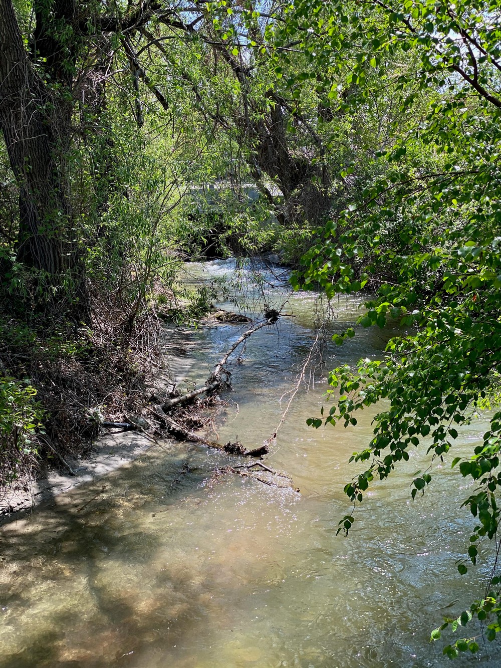 Красота природы на фотографиях