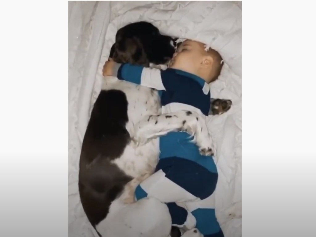Младенец заснул в обнимку с собакой. ВИДЕО