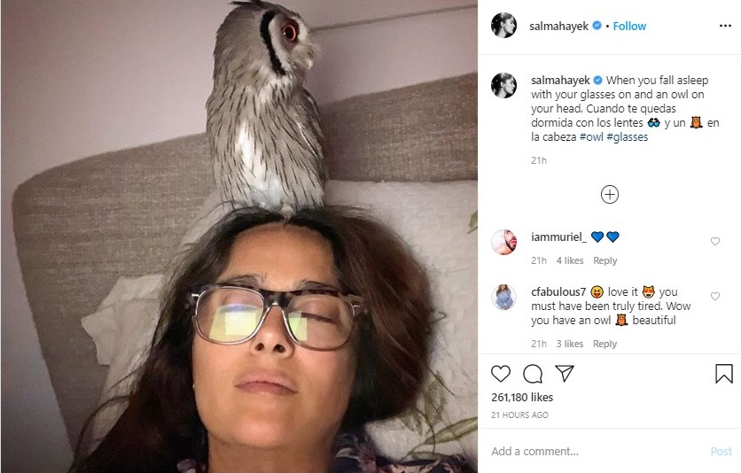 Сальма Хайек озадачила снимком с совой на голове. ФОТО