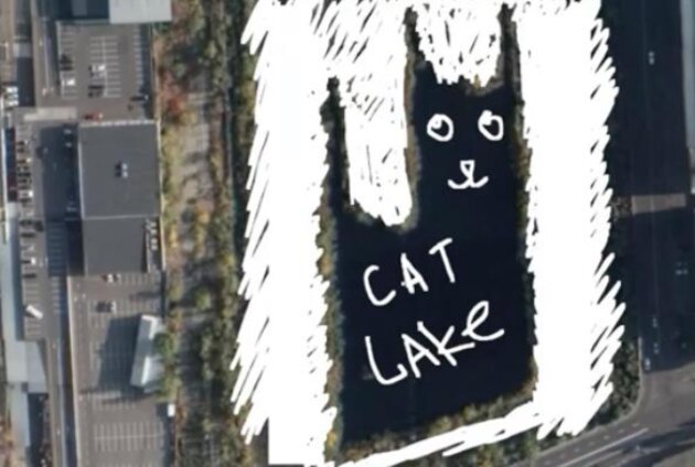 В Киеве обнаружено озеро в форме кота. ФОТО