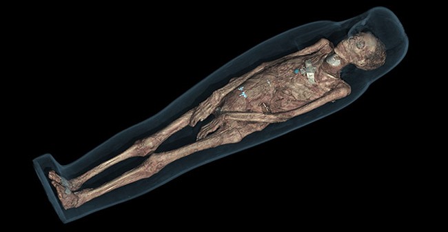 Британский музей совместно с Samsung займутся оцифровкой тел египетских мумий