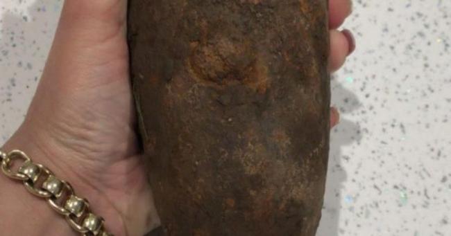 Жительница Великобритании принесла домой гранату, перепутав ее с картошкой. ФОТО