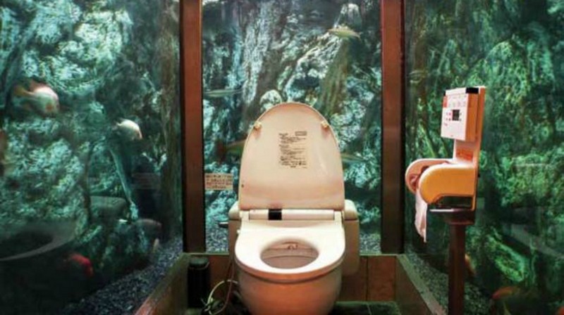 Странные и необычные туалеты из разных уголков планеты