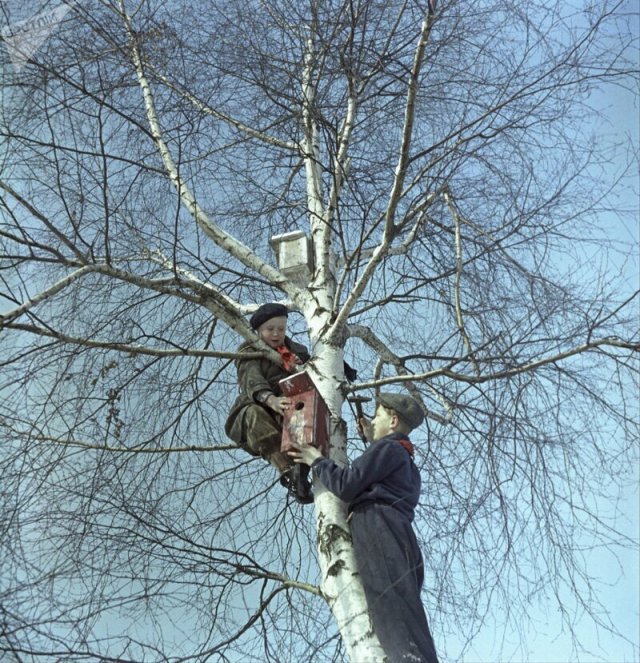 Фотографии времен СССР, навевающие воспоминания