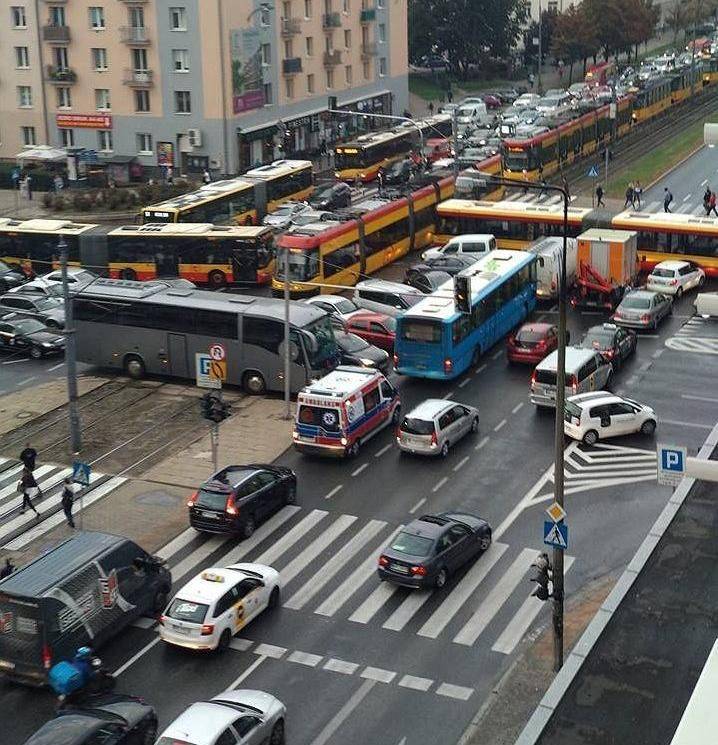 Забавные картинки поднимут вам настроение. ФОТО