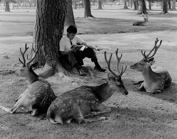 Редкие исторические фотографии из прошлого