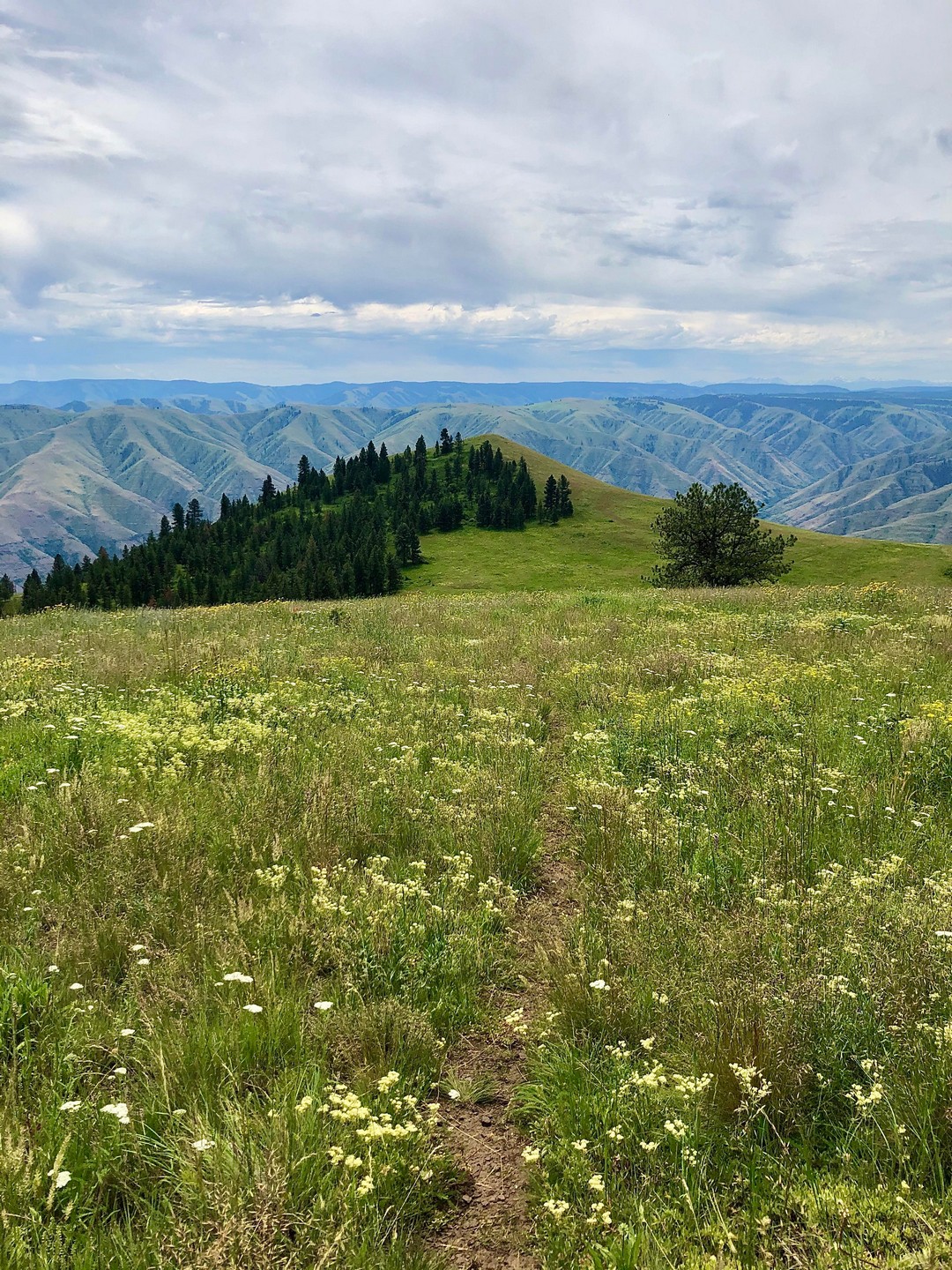 Красота природы на фотографиях