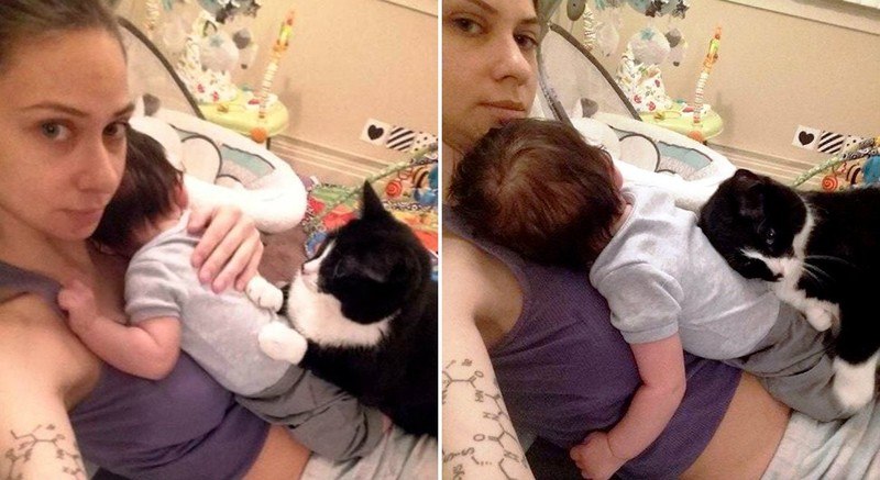 Кошка полюбила малыша еще до рождения, а теперь оберегает его