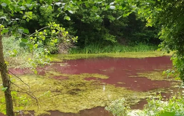 На Черниговщине водоем стал розовым. ФОТО