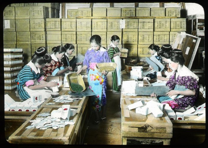 Чайная история Японии на фотографиях столетней давности