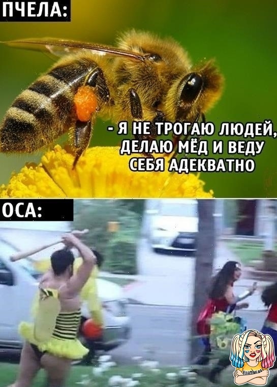 Улыбайтесь, господа, улыбайтесь! 