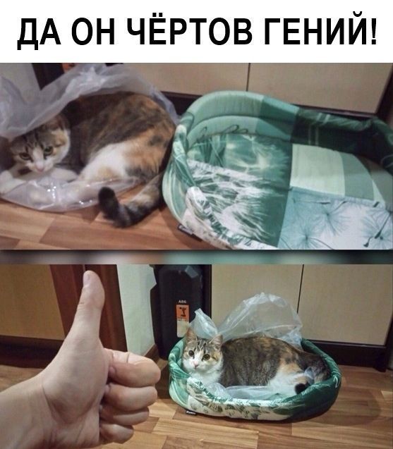 Улыбайтесь, господа, улыбайтесь! 