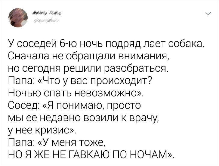 Забавные ситуации, которые приняли совсем неожиданный поворот