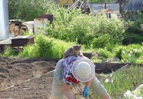 Доминируй, властвуй, унижай! (ФОТО)