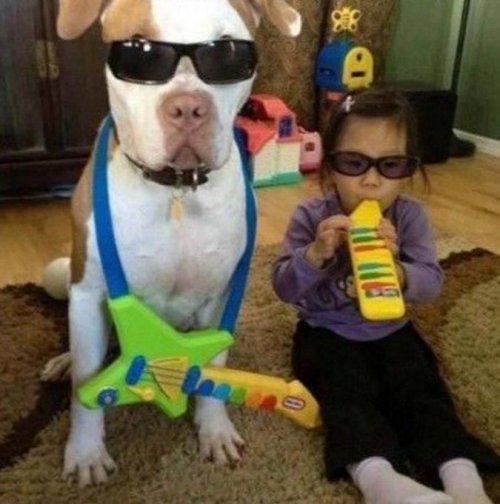 Забавные собаки, копирующие детей (ФОТО)