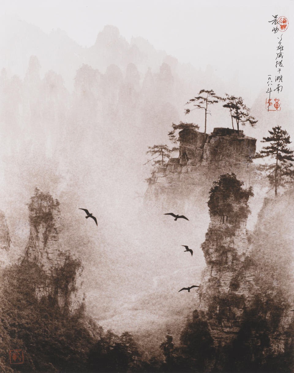 Традиционные для китайской живописи мотивы на снимках Дон Хонг-Оай