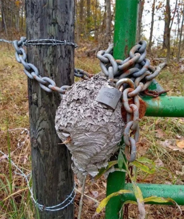 Прикольные со всех уголков нашей Земли. ФОТО