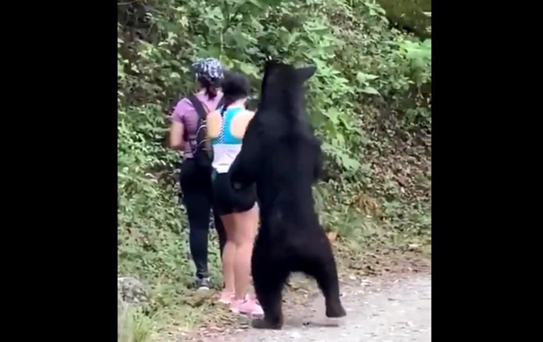 Медведь захотел сделать селфи с туристами. ВИДЕО
