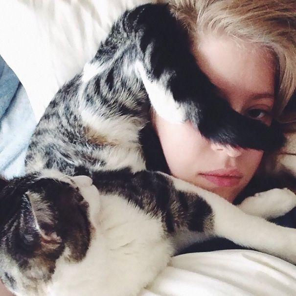 20 кошек, которые плевали на ваше личное пространство (ФОТО)