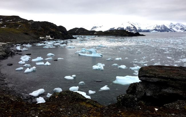 Антарктика: коварные льды и волнующие тайны далеких островов