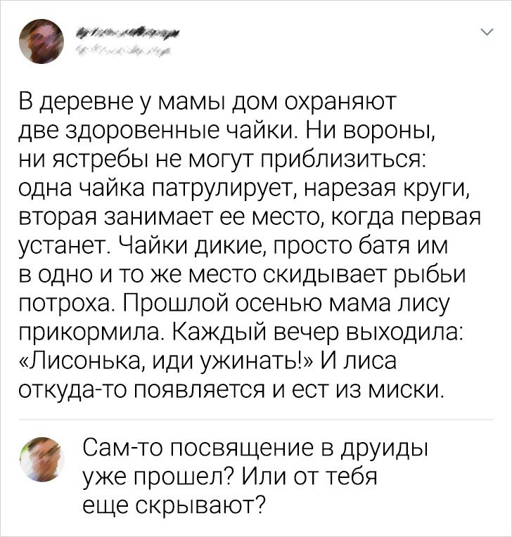 18 метких комментариев от тех, кто способен парой слов сразить собеседника наповал