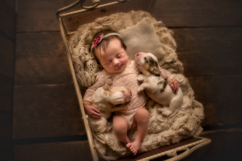 Объятия новорожденных и питомцев в проекте фотографа из Лондона. Фото
