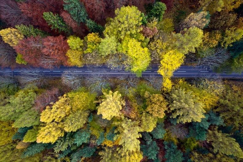 Невероятные аэрофотографии Каспера Ковальски. ФОТО