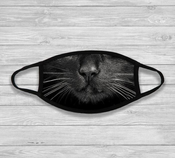 Странные и смешные защитные маски для людей-кошек. ФОТО
