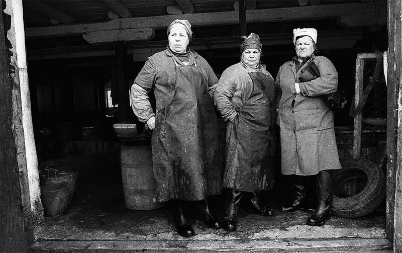 Советская «оттепель» 1960-х в объективе Владимира Лагранжа. ФОТО