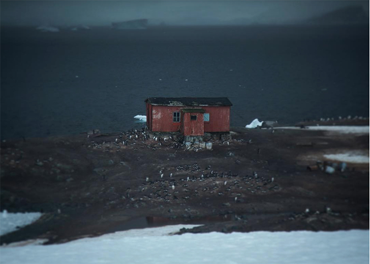  Другая Антарктида: ледяной материк, каким вы его никогда не видели. ФОТО