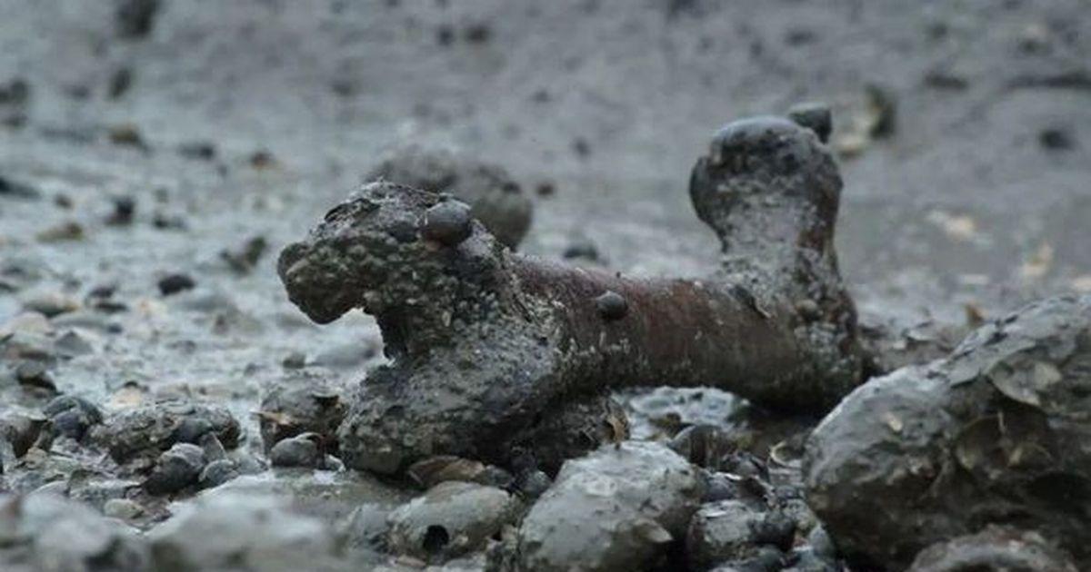 В Британии нашли \"остров мертвецов\", засыпанный человеческими костями - наводит ужас на всех. ФОТО