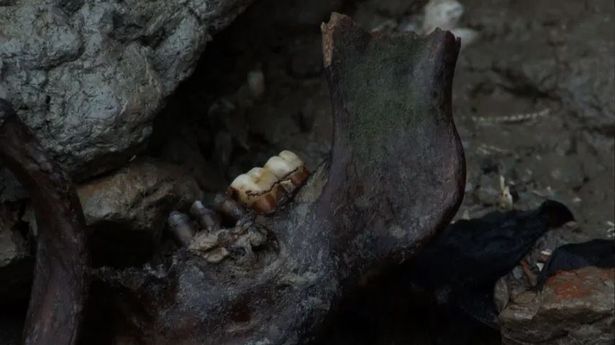 В Британии нашли \"остров мертвецов\", засыпанный человеческими костями - наводит ужас на всех. ФОТО