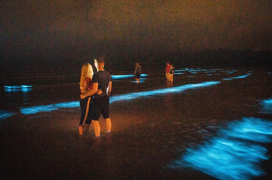 В Ирландии на море появилось голубое свечение - фото редкого явления
