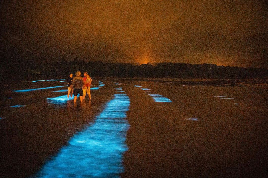 В Ирландии на море появилось голубое свечение - фото редкого явления