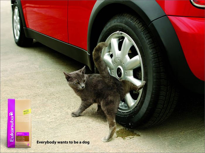 Мяу! 15 примеров забавной и милой кошачьей рекламы. ФОТО