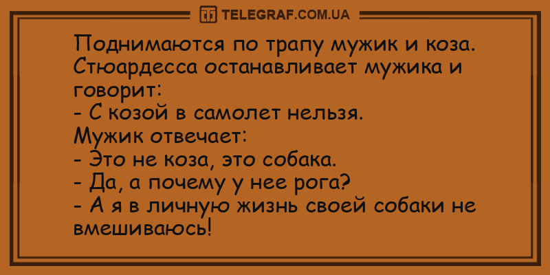 Весело и забавно: уморительные анекдоты 