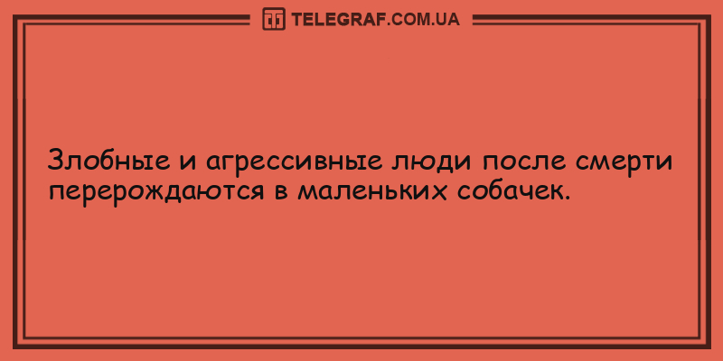 Колобок повесился: анекдоты для хорошего настроения