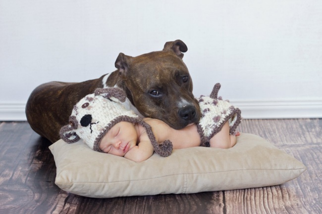 25 доказательств того, что детям необходимы домашние животные