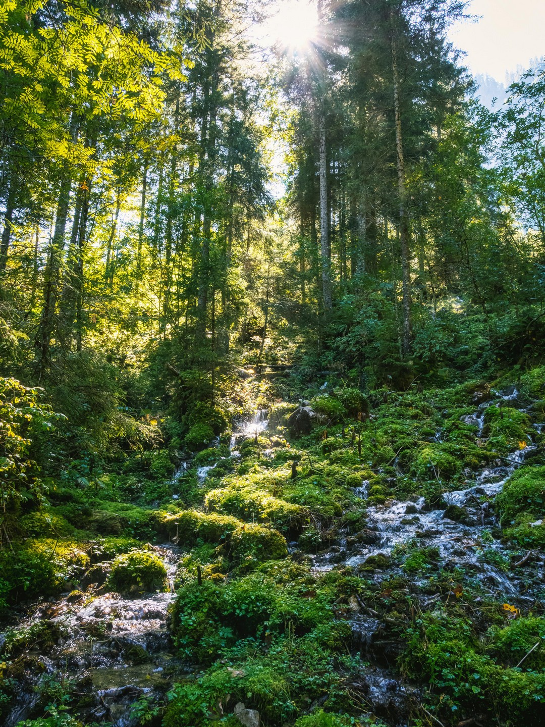 Красота природы на фотографиях