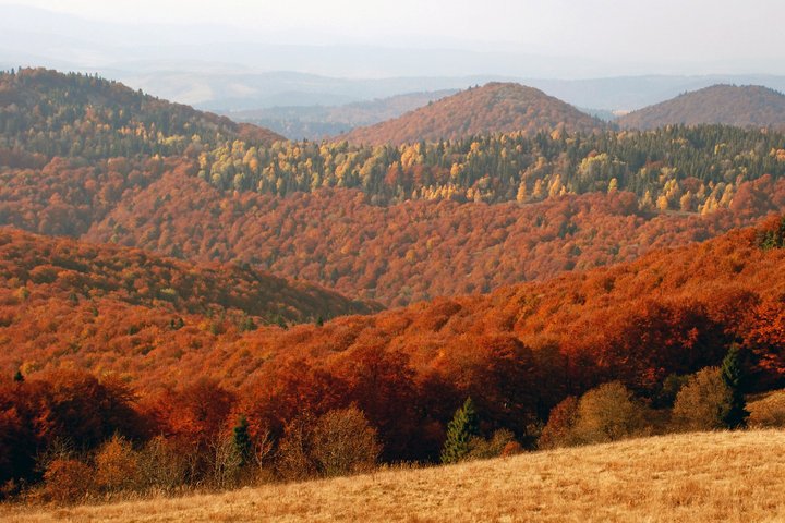 Как выглядят осенью красивейшие парки Украины. Фото