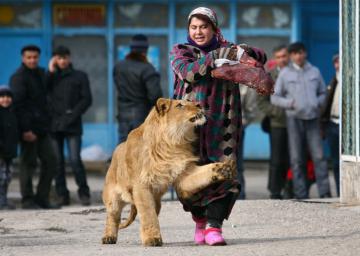 Десять самых оригинальных домашних питомцев (ФОТО)