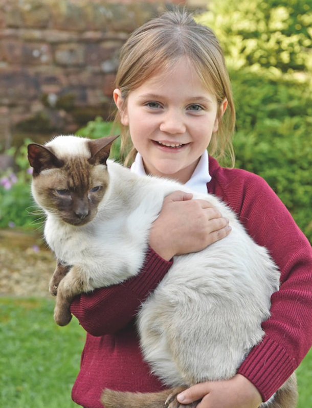 В Англии пропавшего кота нашли спустя шесть лет. ФОТО