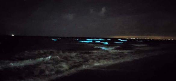 В Одессе ночное море окрасилось светло-голубым сиянием. ФОТО