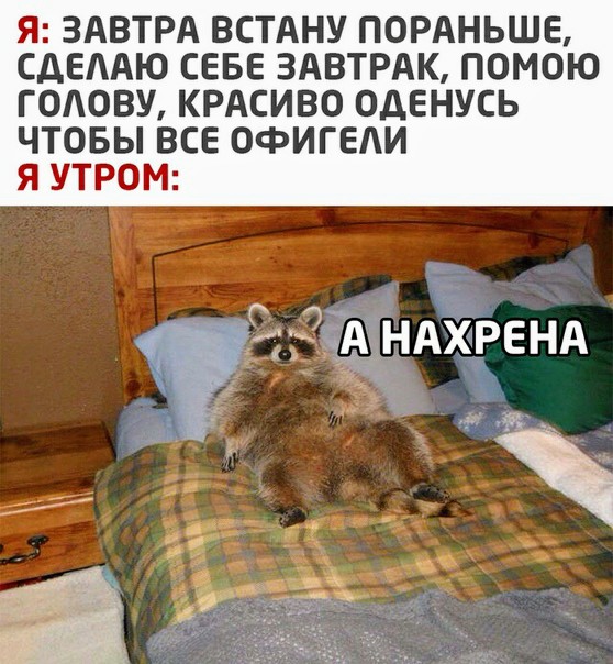 Улыбайтесь, господа, улыбайтесь!