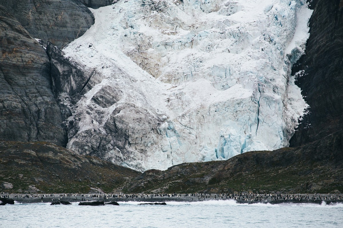 Путешествия по Антарктике и Арктике на снимках Джона Бозинова