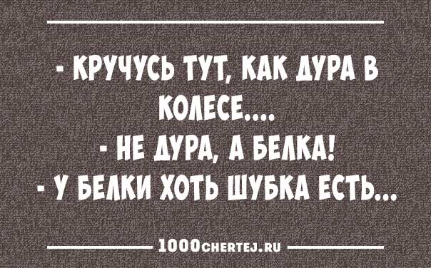 Подборка превосходных анекдотов в карточках